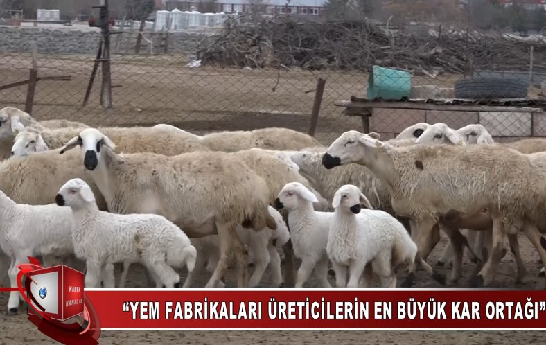 YEM FABRİKALARI ÜRETİCİLERİN EN BÜYÜK KAR ORTAĞI