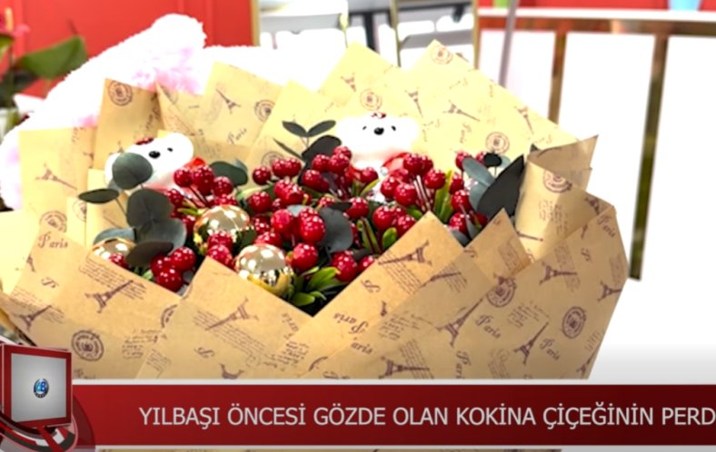 KOKİNA ÇİÇEĞİNE YILBAŞI ÖNCESİ YOĞUN İLGİ