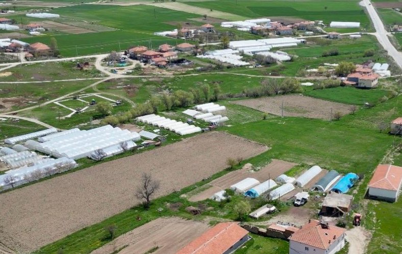 İç Anadolu’nun Çukurovası Gücünkaya: Örtü Altı Üretimde Rekor Verim!