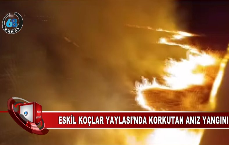 Aksaray Eskil’de Korkutan Alevler: İtfaiye Ekipleri Seferber Oldu