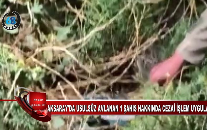 Aksaray’da Kaçak Avcılara Geçit Yok: Usulsüz Avlanan Şahsa Yasal İşlem