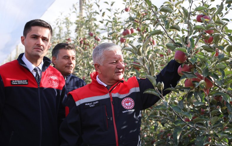 VALİ DURU, ESKİL’DE ELMA HASADINA KATILDI